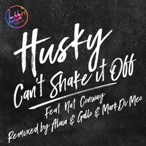 Can't Shake It Off (Mark Di Meo Souldub)