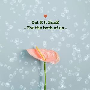 For the both of us (feat. SnoX)