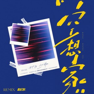 爱与恨 (Remix) - RE-D、郑浩、冰洁封面