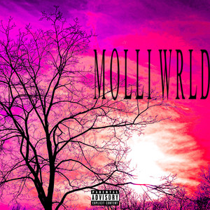 MoLLiWRLD (Explicit)