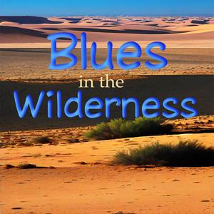 Blues in the Wilderness