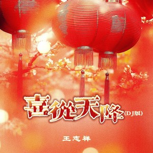 喜从天降dj (伴奏)