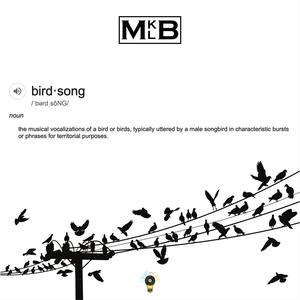 Birdsong