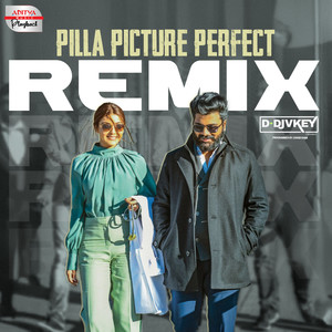 Pilla Picture Perfect Remix (From "Ranarangam")