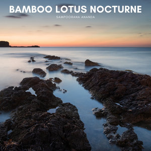 Bamboo Lotus Nocturne