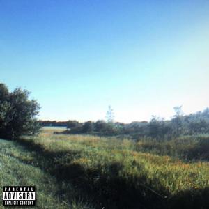 THIS LIFE (feat. Skreigh) (Explicit)