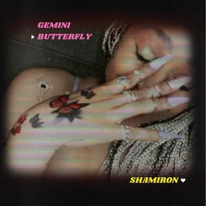 Gemini Butterfly