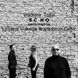 Vladimir Tošić: Echo