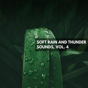 True Rainfall Under ThunderStorm Drone