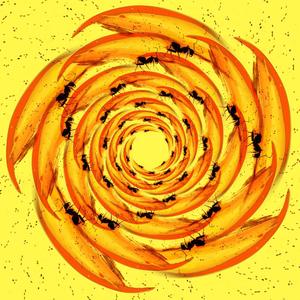 Blumen III Öl ins Feuer(Choral)