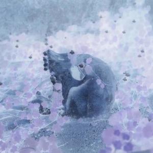 Silent Thoughts (Explicit)