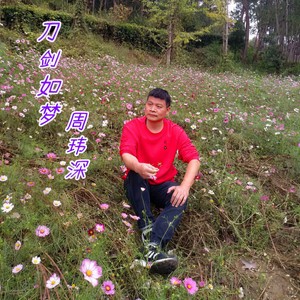 刀剑如梦