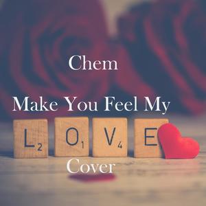 Make You Feel My Love
