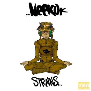 STRAINS (Explicit)