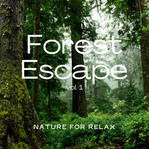 Forest Tunes for Deep Naps pt. 3(feat. Deep Sleep Nature Sounds, Lluvia para Dormir & El Ruido Blanco)