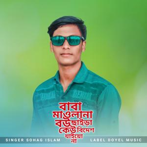 Bou Chaira Bidesh Jaiyona DJ