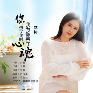 你伤了我的心我为你丢了魂 (DJ默涵版)