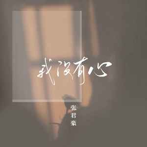 我没有心 (伴奏)