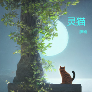 灵猫 (伴奏)