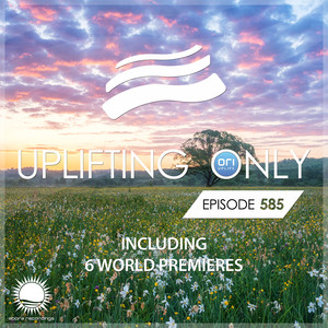 November Morning (UpOnly 585) (Mix Cut)