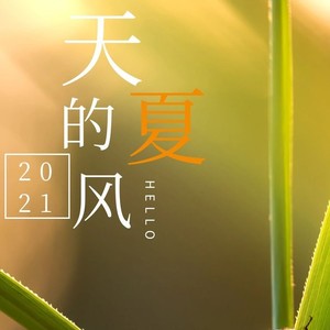 夏天的风