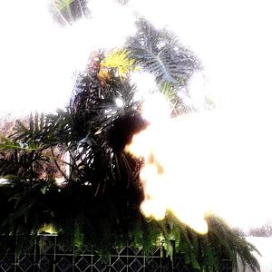 melancholy lane (Explicit)