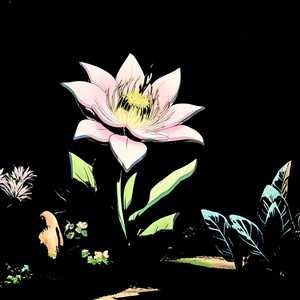 Flor Divina