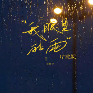 我眼里的雨 (吉他版)