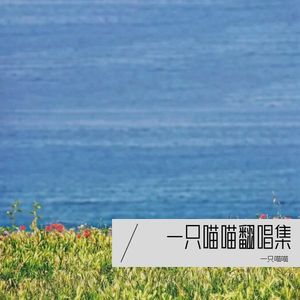 极美封面