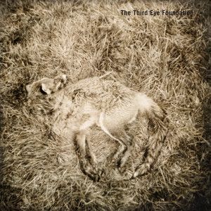 Next of Kin