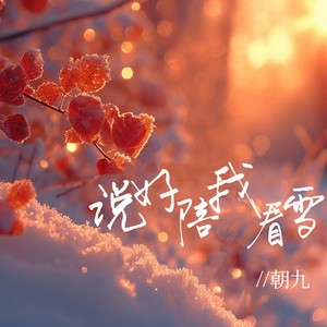 说好陪我看雪 (伴奏)