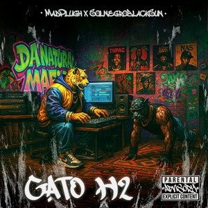 GATO H2