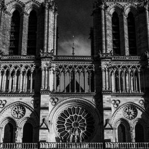 Scaf - néo-parisien