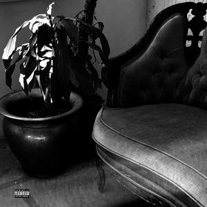 k.addix (Explicit)