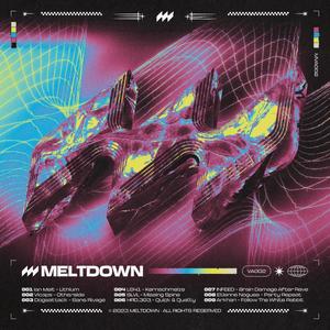 MELTDOWN VA002