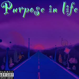 Purpose in Life (Explicit)