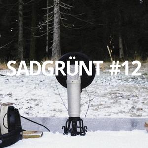 SADGRÜNT #12 (feat. nausaah, SKT KOSMO & star6tem) (Explicit)