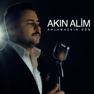 Anlamazsın Sen