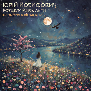 Розшумілись луги (Remix)