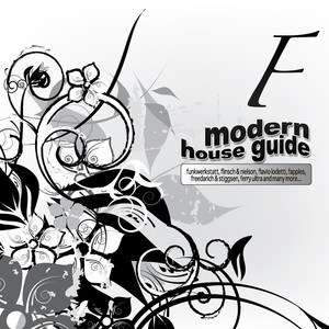 Modern House Guide - F