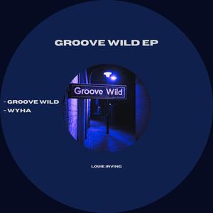 Groove Wild EP