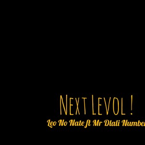 Next Levol (feat. Mr Dlali Number & Woza Leo)