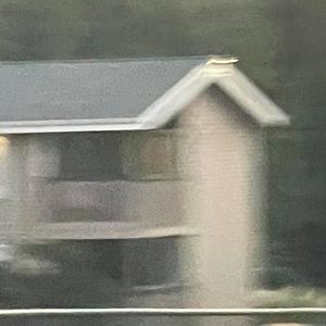 i like this song cuz its like my brain, it doesnt do what its told. (feat. stebs) (Explicit)