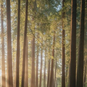 Everything feels broken