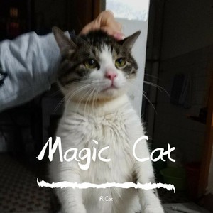 Magic Cat (伴奏)
