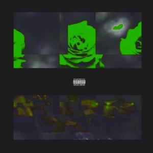 I.D.I.M.R. (Orginal)