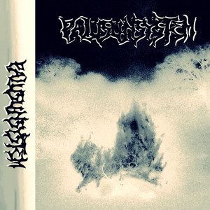 Palusunsystem - Sensi Star (Instrumental Demo Version)