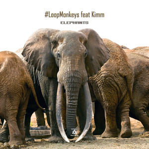 Elephants (Original Mix)