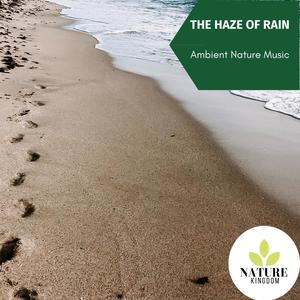 The Haze of Rain - Ambient Nature Music