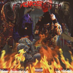 Money is time(feat. Young Ecosystem) (Explicit)